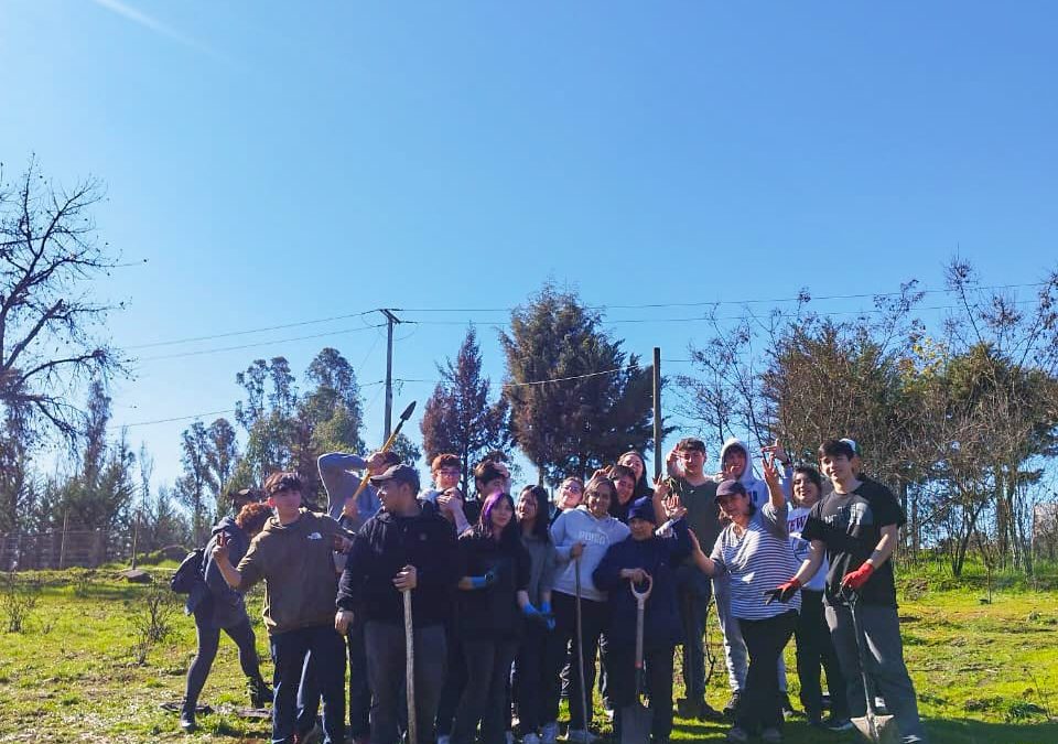 Instituto San José de Cañete participa en proyecto “Reforestemos Santa Juana”